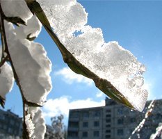 Водители входят в неуправляемый занос