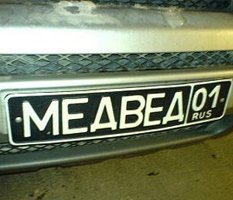 Строптивого Медведа упрятали за решетку