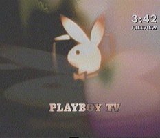 Playboy TV добрался до России