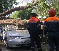 Зима началась с урагана