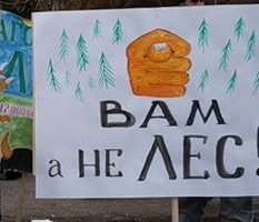 Сергей Шойгу не вывел трассу из леса