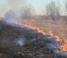 Москву обложили сухими дровами