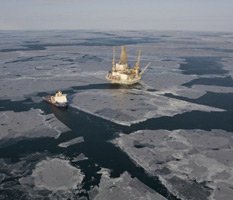 Шведские бизнесмены "положили глаз" на российскую территорию Арктики